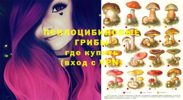 прущие грибы Балашиха