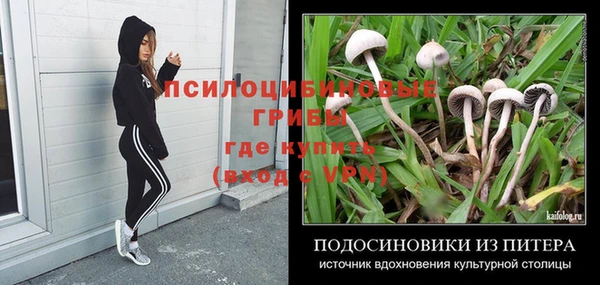 тгк Кукмор