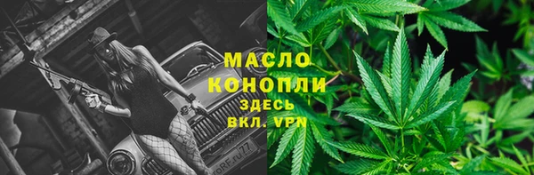 прущие грибы Балашиха