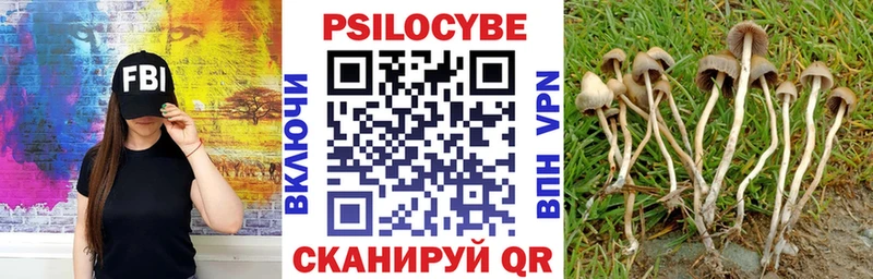 Галлюциногенные грибы Psilocybe  где купить   блэк спрут ТОР  Ясногорск 